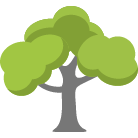 Birmingham Tree Trimming