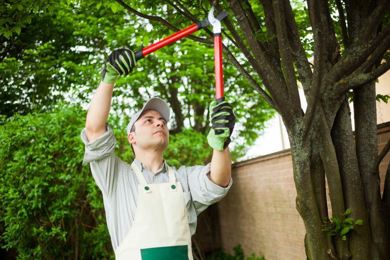 Arborist with Pruning Tools