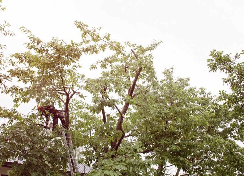 Space-Smart Ideas — Quick Tip