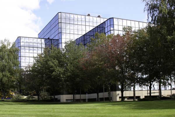 Commercial Tree Trimming in Birmingham